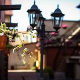 Hortensjowy Zakątek (2)