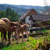 OSADOWE WZGÓRZE (2)