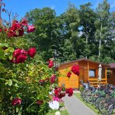 Domki letniskowe Wikar (3)