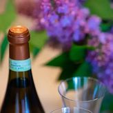 Apartamenty u Romy (4)