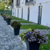 Domki apartamentowe Laba (3)