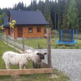 Domki w Dolinie Olzy Istebna (2)