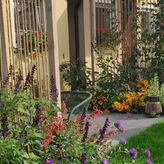 Klara w Ogrodzie (3)