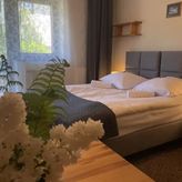 Sasanka przy Gondoli (3)