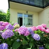 Pokoje Gościnne MARDAMON (4)