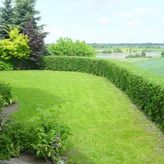 Dom Turysty Na Skarpie (3)