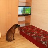 Ośrodek Domków - Blisko Morza (2)