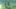 325628026425915356_0