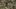 326974030807193642