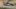 325393271113594844