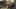 Crytek też chce spróbować sił w battle royale