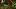 Psychonauts 2: Notch przemówił (i sprowadził wszystkich na ziemię)