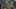 Premiera Age of Wonders 3 opóźniona