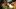 Udany start Dragon's Dogma Online w Japonii
