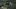 Galeria: Resident Evil 5