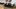 Galeria: Colin McRae: DiRT 2