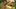 Nowy RPG Ubisoftu to Heroes of Might & Magic?