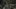 Galeria: Borderlands