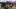 Galeria: Red Dead Redemption