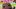 LittleBigPlanet - recenzja