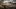 Galeria: Red Dead Redemption