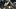 Nowa galeria z Call of Duty: Black Ops