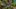 RPG + RTS = RPGTS, czyli SpellForce 3 w akcji