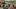 Co już wiemy o Far Cry 5? Zobacz naszą wideozapowiedź