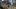 Kingdom Come: Deliverance z datą premiery
