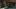 The Walking Dead: The Final Season – recenzja. Ostatnie podrygi