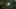 Pathfinder: Kingmaker dostanie po premierze trzy dodatki