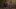 Premiera pudełkowego wydania Life is Strange 2