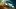 Dirt Rally 2.0 - recenzja. Perfekcja in progress