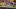 Crusader Kings - The Board Game – recenzja. Radosny handel żywym towarem w duchu wzajemnej współpracy