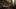 Spacerek po lesie – nowy zwiastun Blair Witch