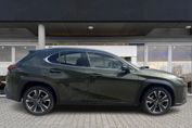 Lexus UX 300h Business