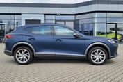 Cupra Formentor 2.0 TSI 4Drive DSG