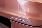 Lexus UX 300h F Sport Design 2.0 Hybrid Dynamic Force AWD