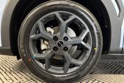 BYD Dolphin Surf Boost