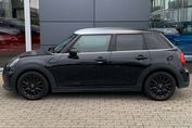 Mini Mini Standard