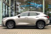 Lexus NX 350h Business AWD