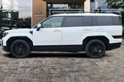 Hyundai Santa Fe 1.6 t-Gdi Phev Calligraphy 4WD 7OS
