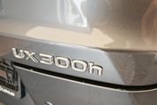 Lexus UX 300h F Sport 2.0 Hybrid Dynamic Force