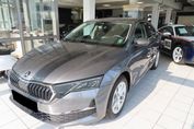 Skoda Octavia Selection 2.0 TSI 4x4 DSG