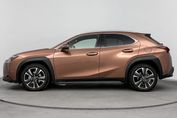 Lexus UX 300h Business 2.0 Hybrid Dynamic Force