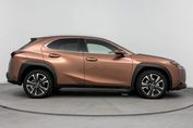 Lexus UX 300h Business 2.0 Hybrid Dynamic Force
