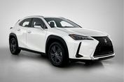 Lexus UX 300h Business