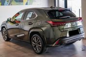 Lexus UX 300h F Sport AWD