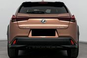 Lexus UX 300h Business 2.0 Hybrid Dynamic Force