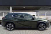 Lexus UX 300h Business